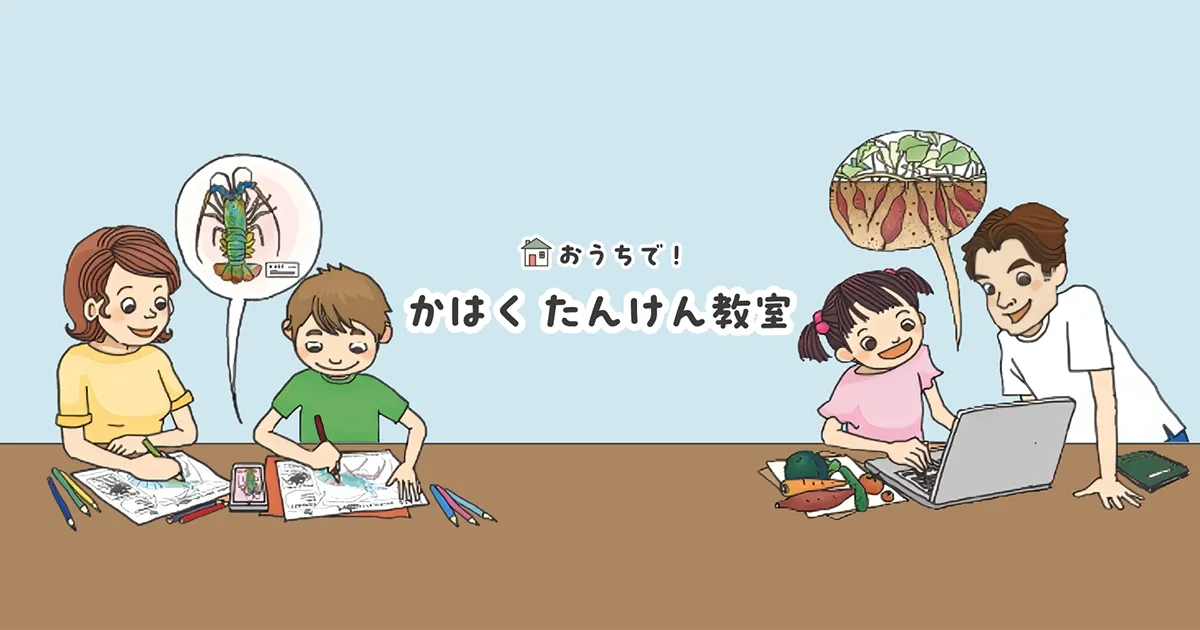 おうちで！かはく・たんけん隊バナー