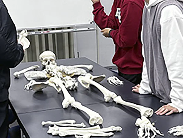 骨ほねウォッチング