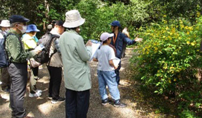 一覧：日曜観察会