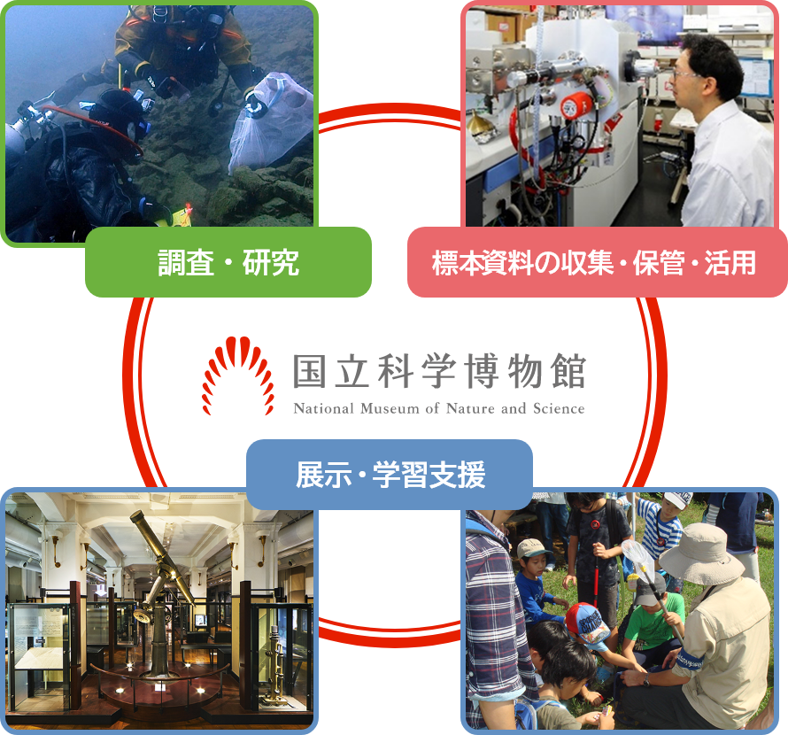 ３つの主要事業の発展