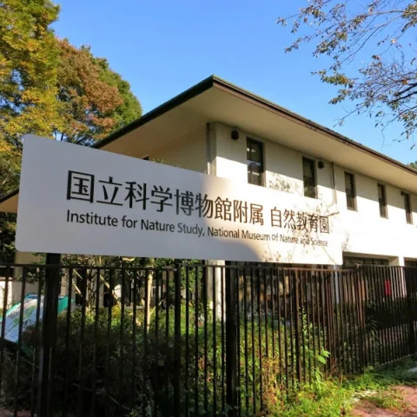 附属自然教育園