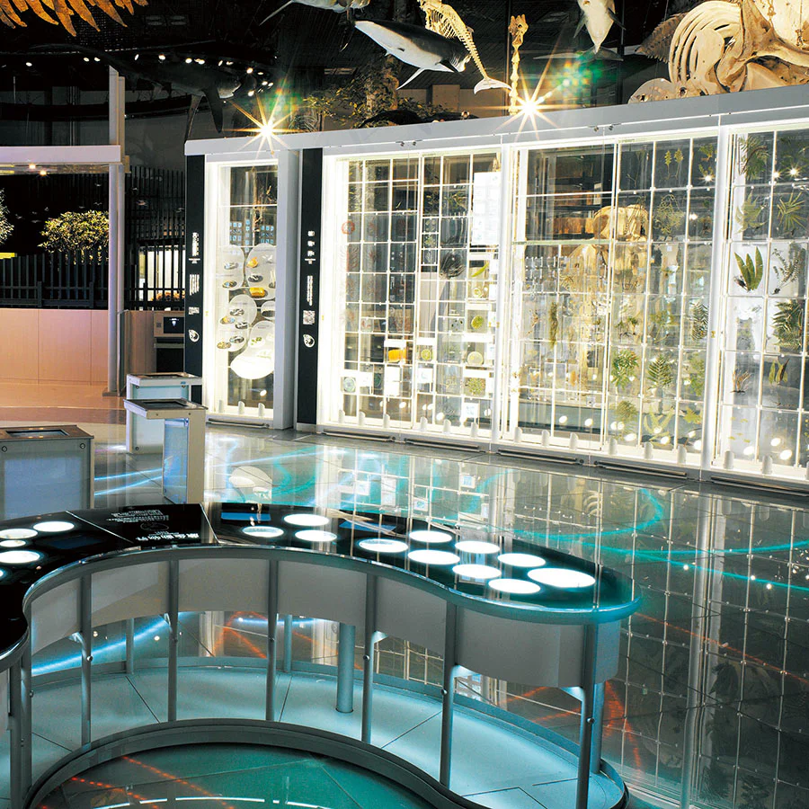 系統広場：地球館 1階