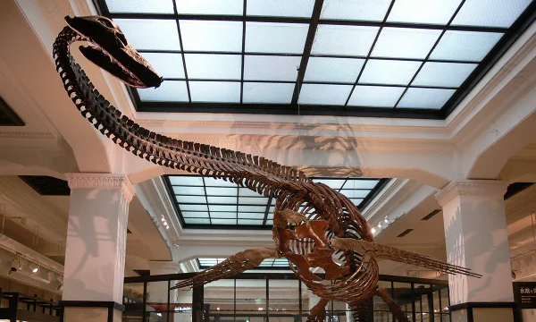 賛助会員（個人）バナー