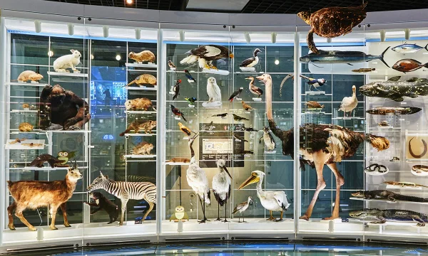 遺贈寄付バナー