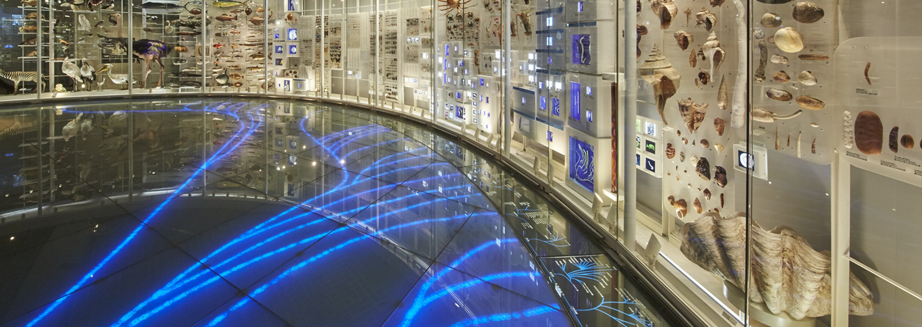 ご支援のお願いMV