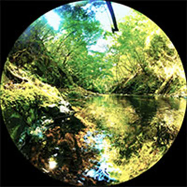 東京都 秋川（画像：国立科学博物館）