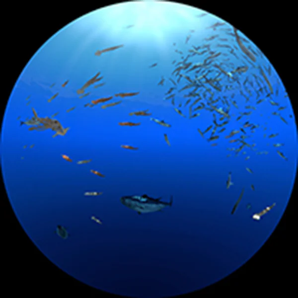 8.海の食物連鎖