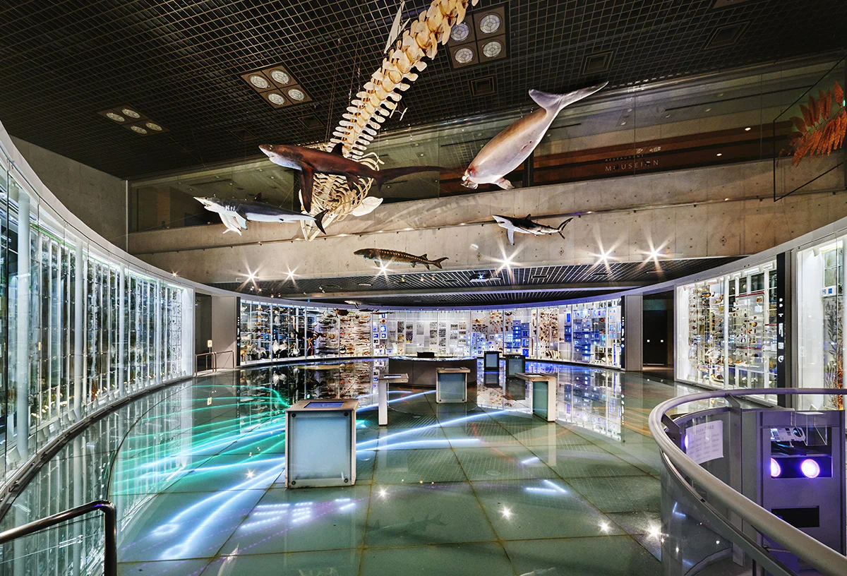 地球館１階展示室