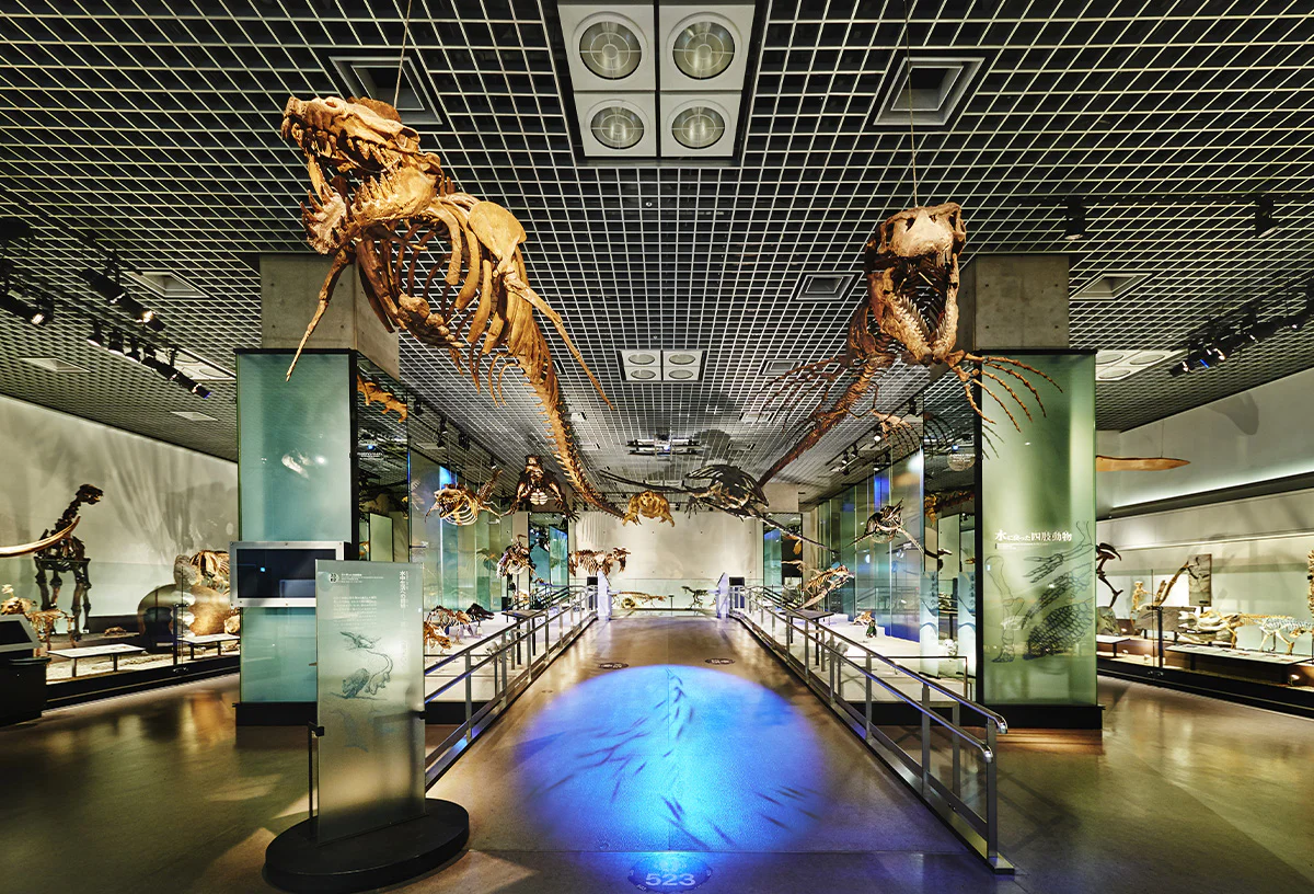 地球館B２階展示室