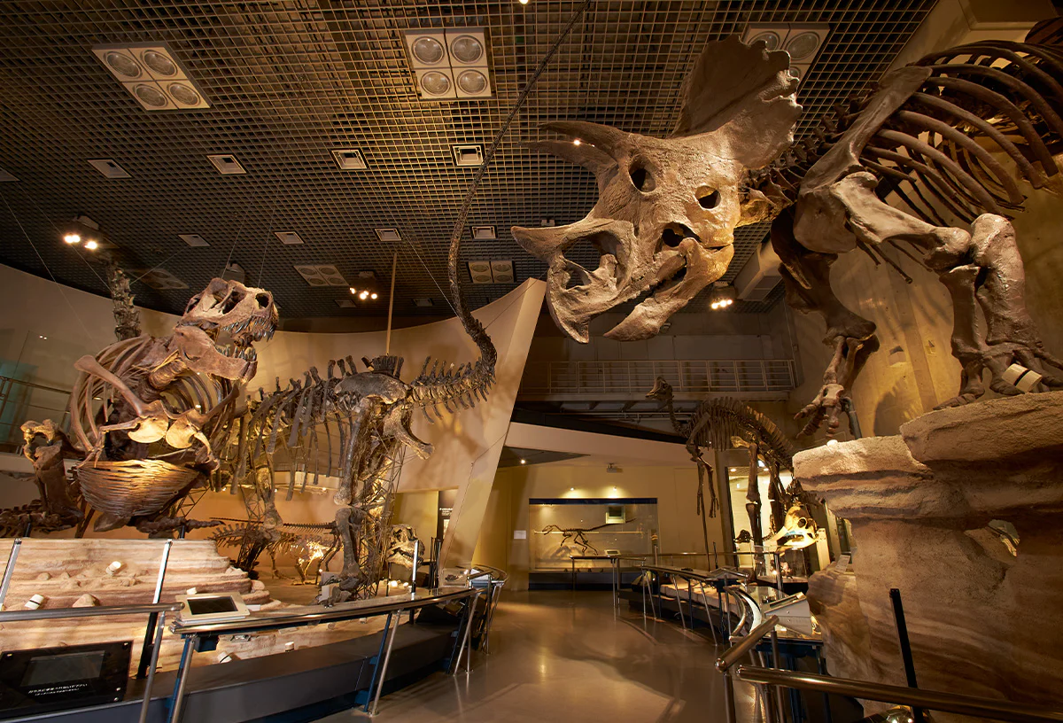 地球館B１階展示室