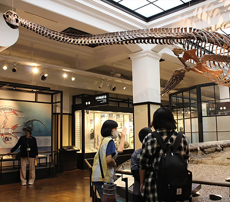 かはくボランティアの様子