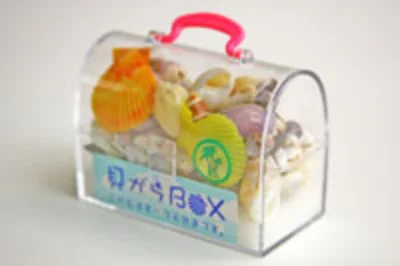 Clamshell carrying box