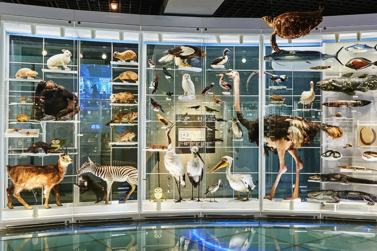 地球の多様な生き物たち