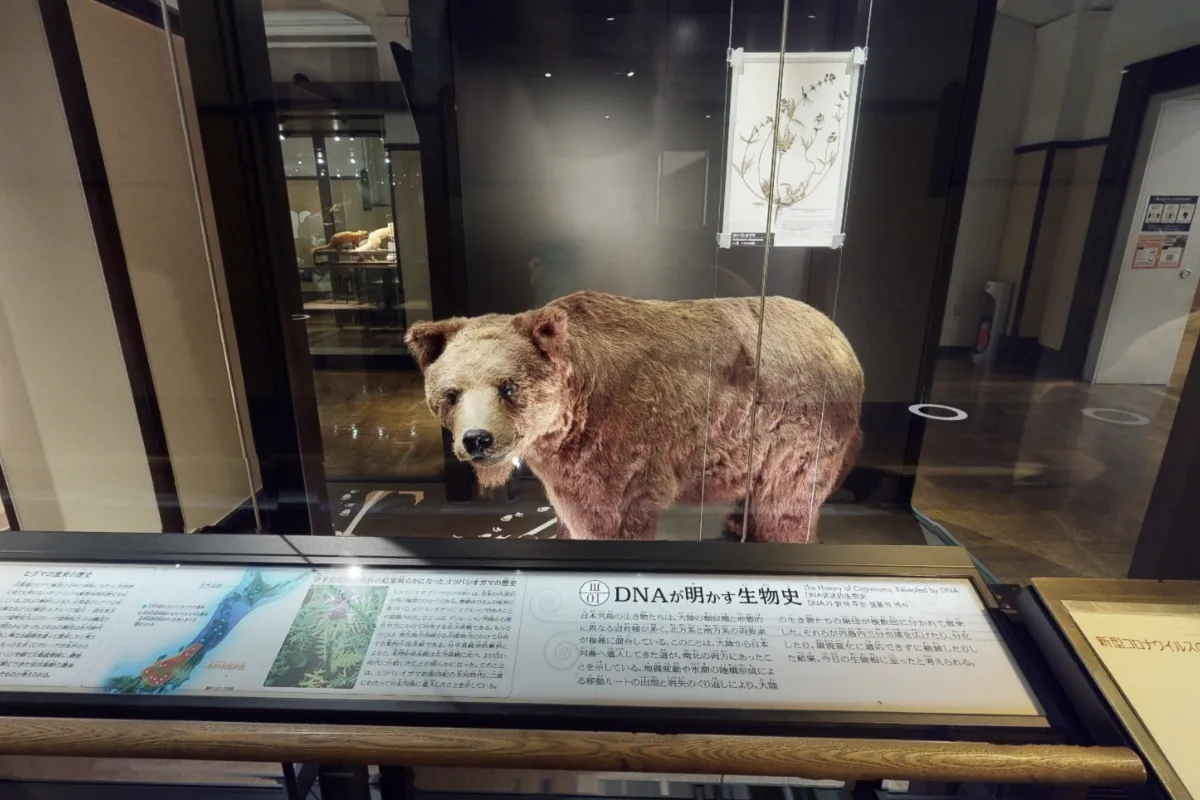 Ⅲ. 生き物たちの日本列島