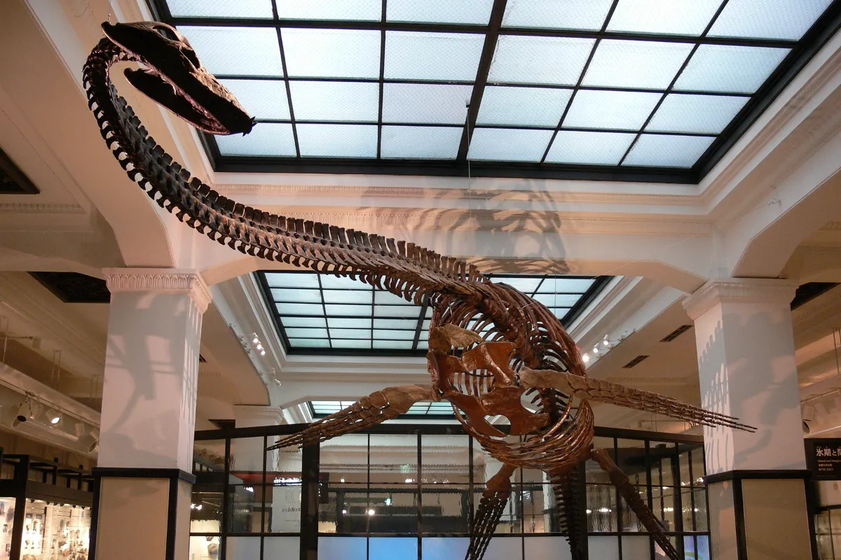 Ⅱ. 日本列島の生い立ち