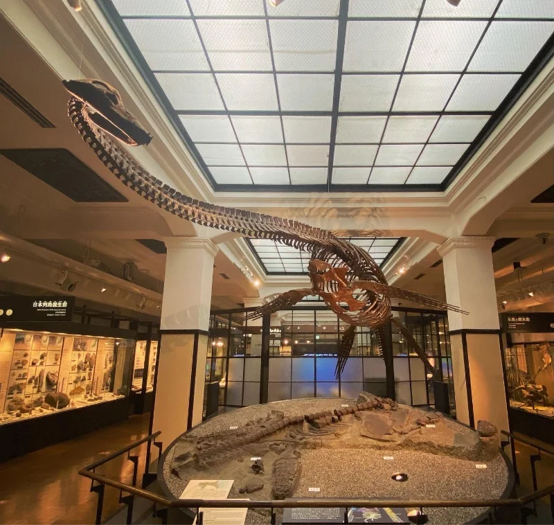 国立科学博物館の概要