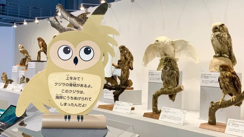 こども向け展示解説の様子