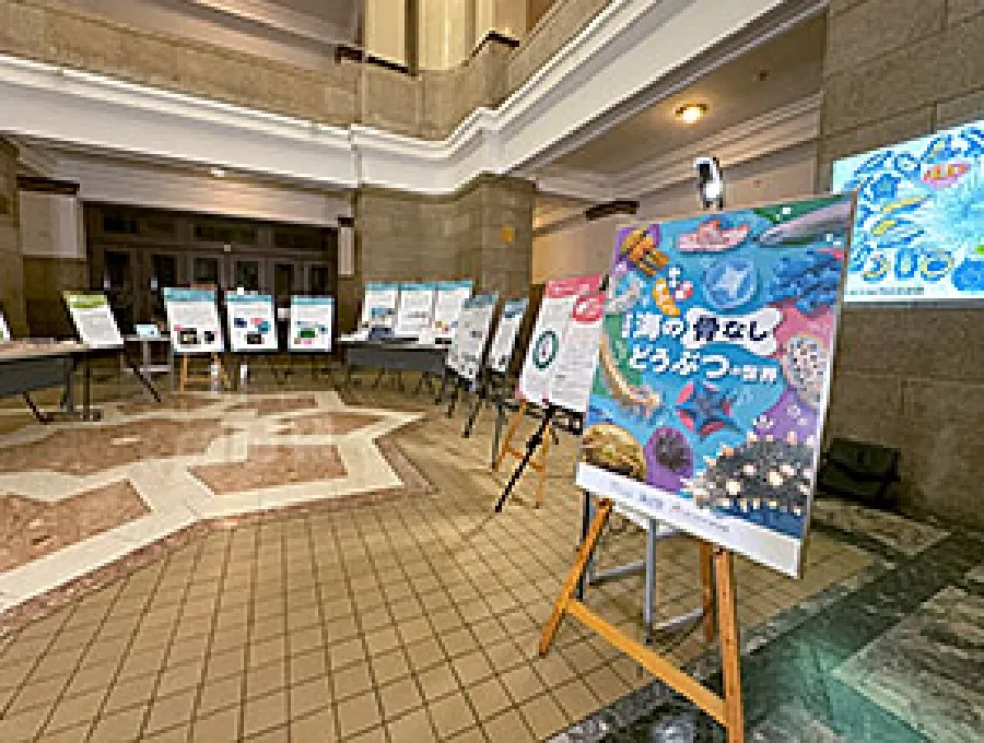 海の骨なしどうぶつの世界展示風景1