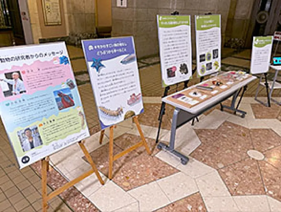 海の骨なしどうぶつの世界展示風景2