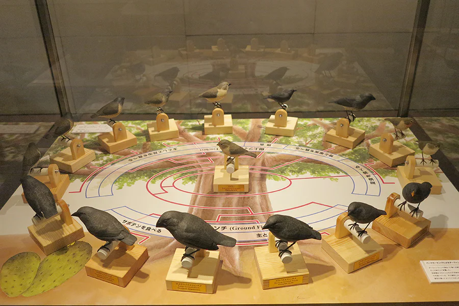 バードカービング