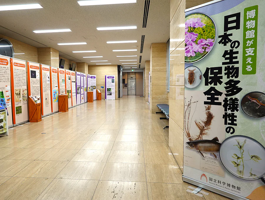 ロールスクリーンパネル