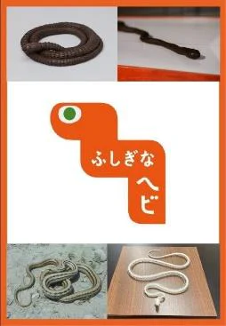 ふしぎなヘビ展イメージ