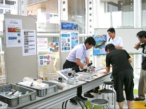pic_gama2011_02