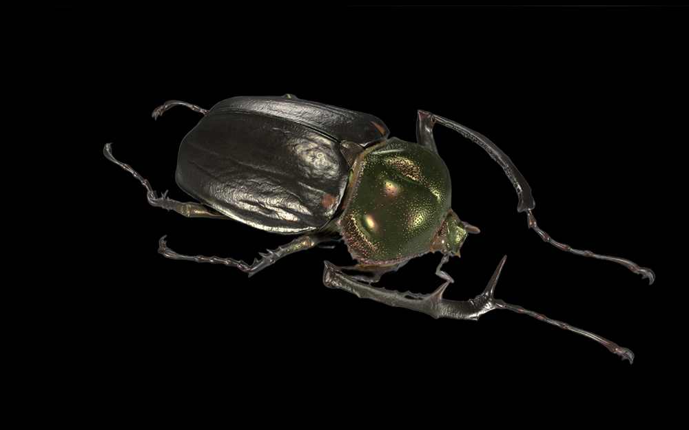NATURA_3DCG_02