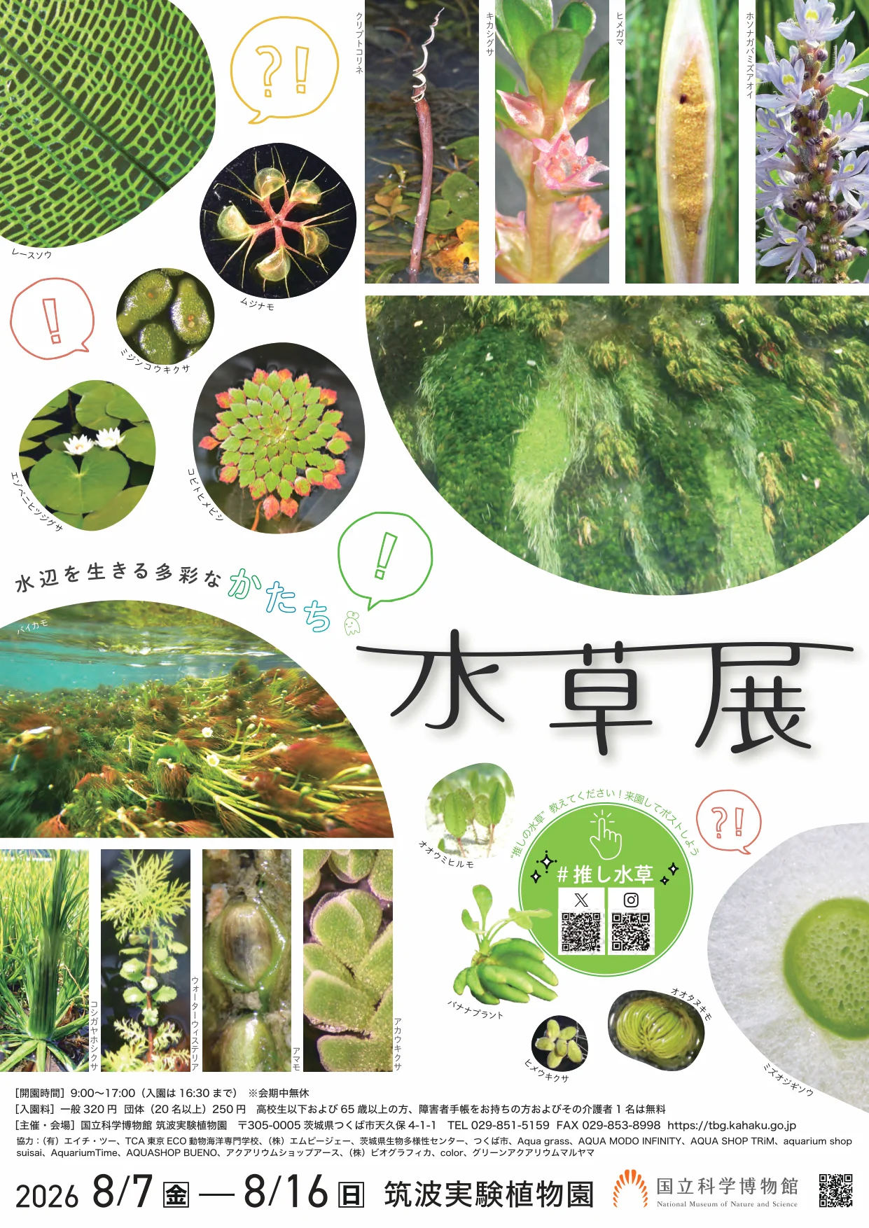 水草展 ポスター