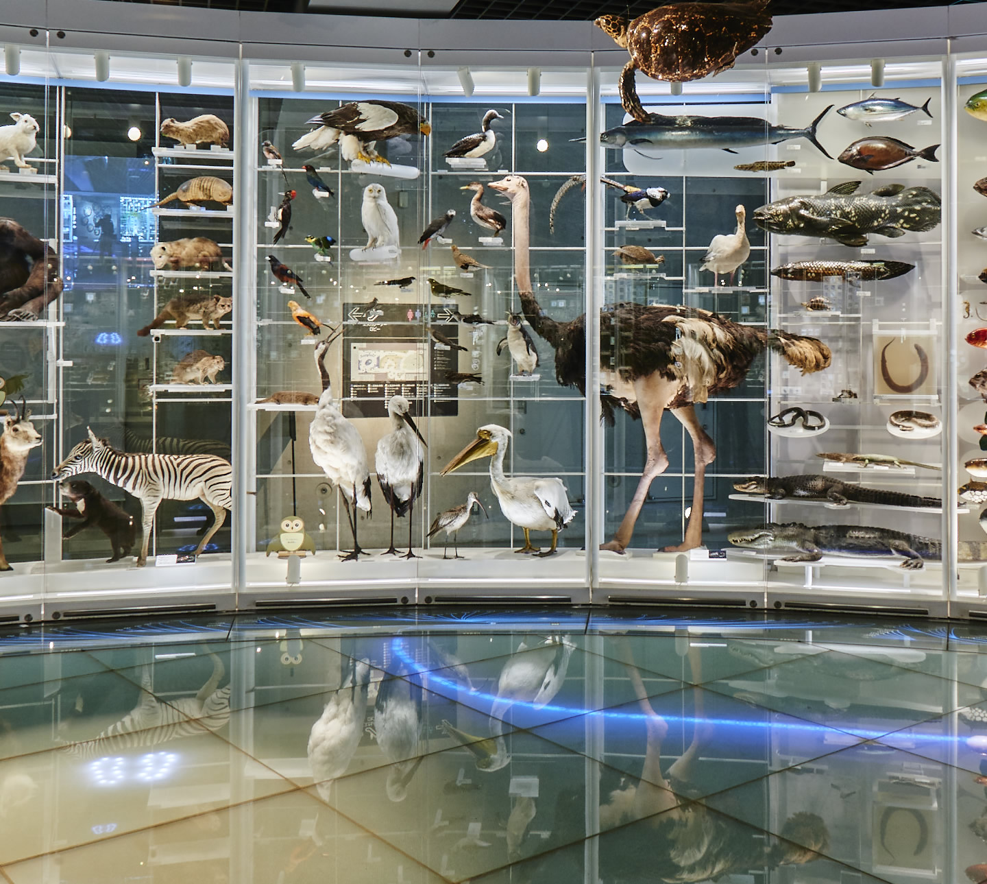東京親子景點-国立科学博物館 National Museum of Nature and Science,Tokyo