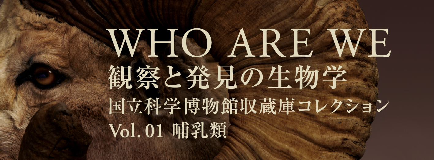 巡回展「WHO ARE WE　観察と発見の生物学」