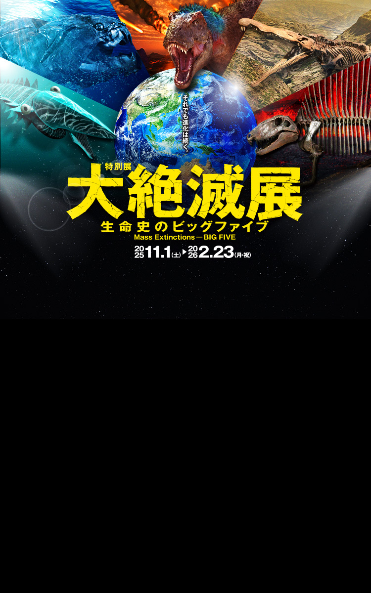 国立科学博物館 ガイドブック・展示案内 国立科学博物館 企画展「絵本