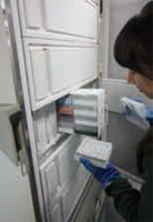 DNA and tissue samples stored in an ultra deep freezer