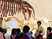 An animal-themed tour held on International Museum Day