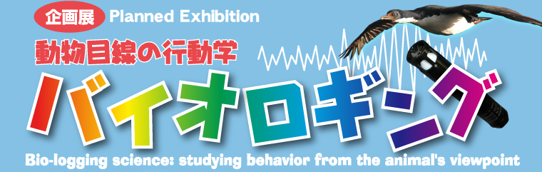 Planned Exhibition Bio-logging science:studing behavior from the animail's viewporint
