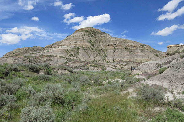 Strata including the Cretaceous–Paleogene (K–Pg) boundary from North Dakota, US