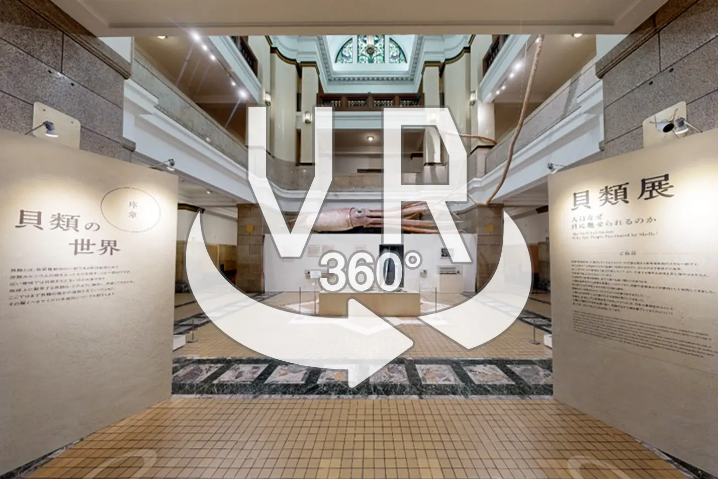 VR