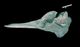 Baird's beaked whale  skull：Right