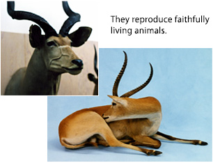 They reproduce faithfully living animals.