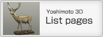 Yoshimoto 3D
