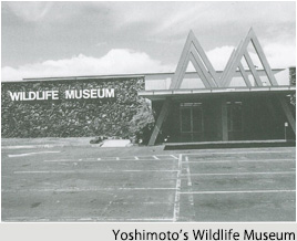 Yoshimoto’s Wildlife Museum