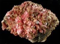Minerals from the Kinichi Sakurai Collection(rhodonite)