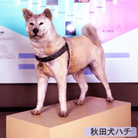 n`摜