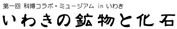  ȔR{E~[WA in 킫 킫̍zƉ