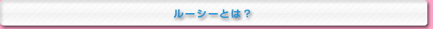 イベント報告