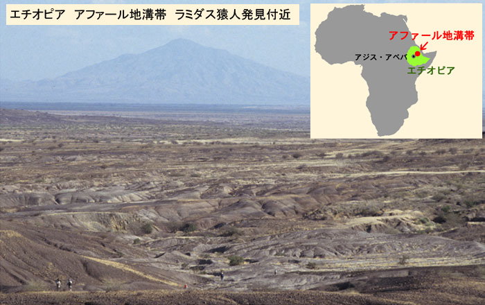 エチオピア　アファール地溝帯　写真と地図