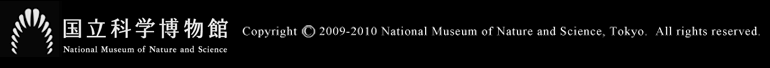 Ȋwف@Copyright 2009-2010 National Museum of Nature and Science, Tokyo.  All rights reserved.