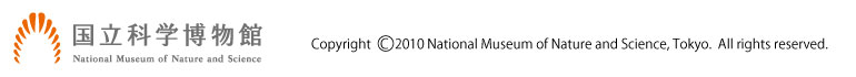 Ȋwف@Rs[Cg copyright 2010 national museum of nature and science, tokyo. all rights reserved.