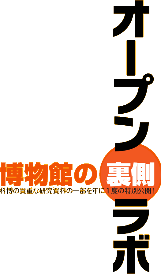 タイトル：オープンラボ「博物館の裏側」
