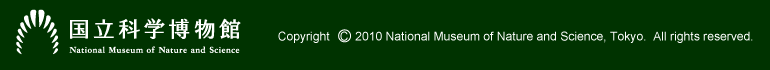 Copyright  2010 National Museum of Nature and Science, Tokyo.  All rights reserved.